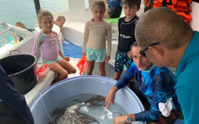 Baby Shark Release with the Sea Explorer Catamaran