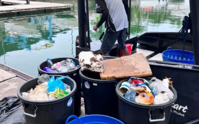 400L of Trash removed from Mangrove Channels