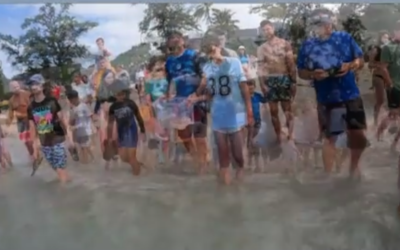 Shark Release at Club Med Kata Beach