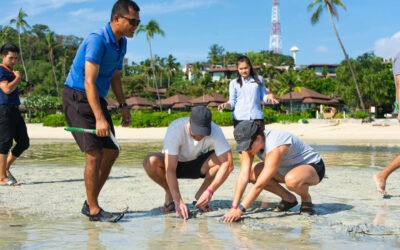 Seagrass Transplantation at Pullman Phuket Panwa Beach Resort